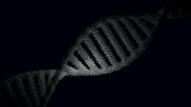 Las terapias contra el VIH &lsquo;remodelaron&rsquo; la evoluci&oacute;n humana al permitir la supervivencia
