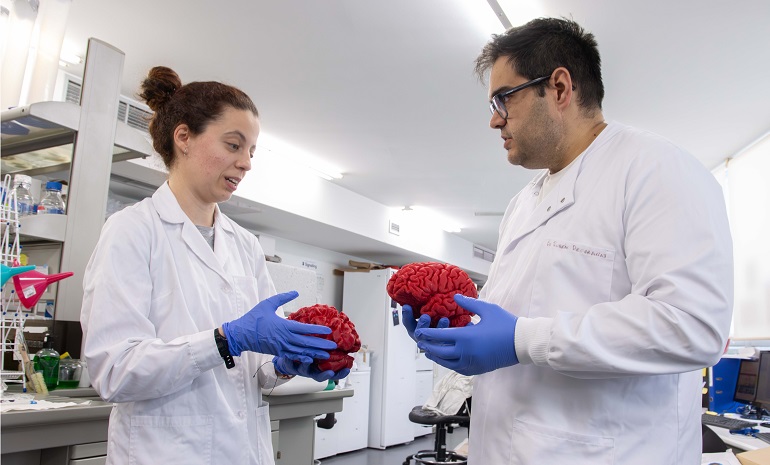 Descubren un ‘interruptor’ cerebral clave en el autismo y la esquizofrenia