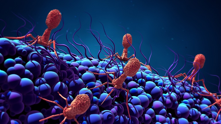 Una terapia personalizada con bacteriófagos logra eliminar una infección multirresistente provocada por una herida de guerra