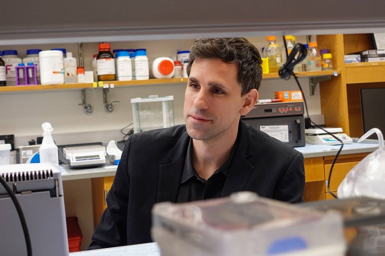 Resucitar moléculas de la Prehistoria contra las superbacterias: la nueva frontera de los antibióticos por IA