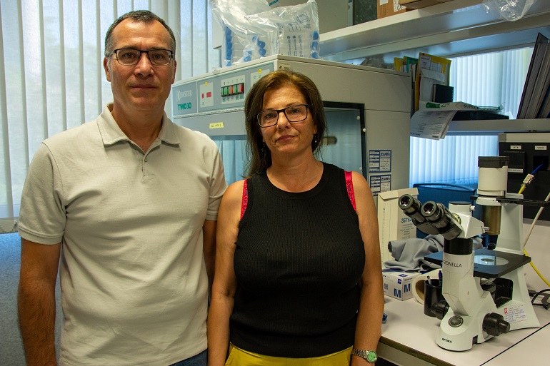 Identificadas dos nuevas especies del género Legionella en sistemas artificiales de agua