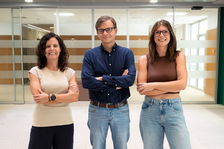 Revelan cómo el cerebro equilibra la flexibilidad y la estabilidad de los recuerdos