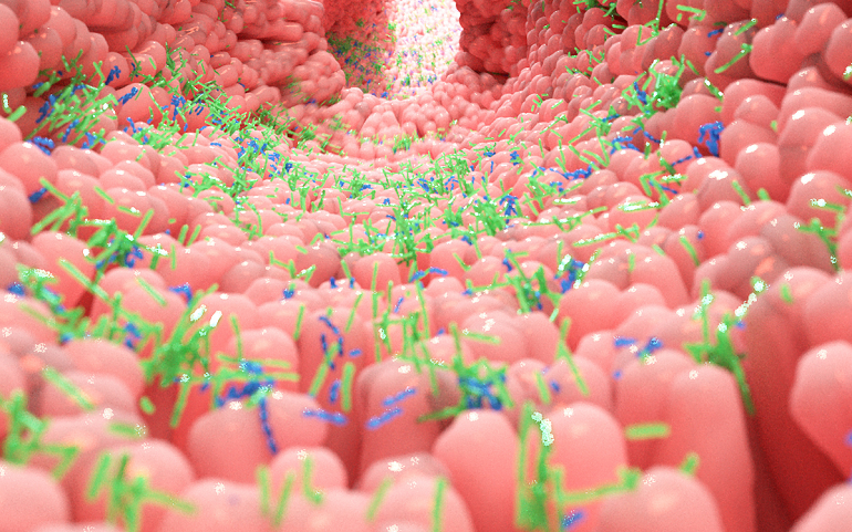 Alimentación saludable en adolescentes: cómo cuidar la microbiota durante esta etapa