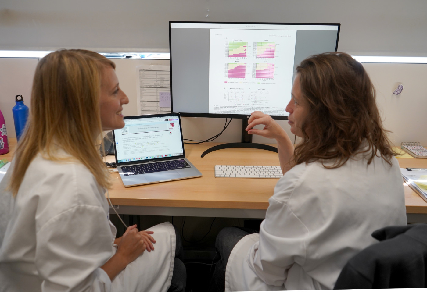 Una combinación de fármacos muestra eficacia contra el cáncer de endometrio