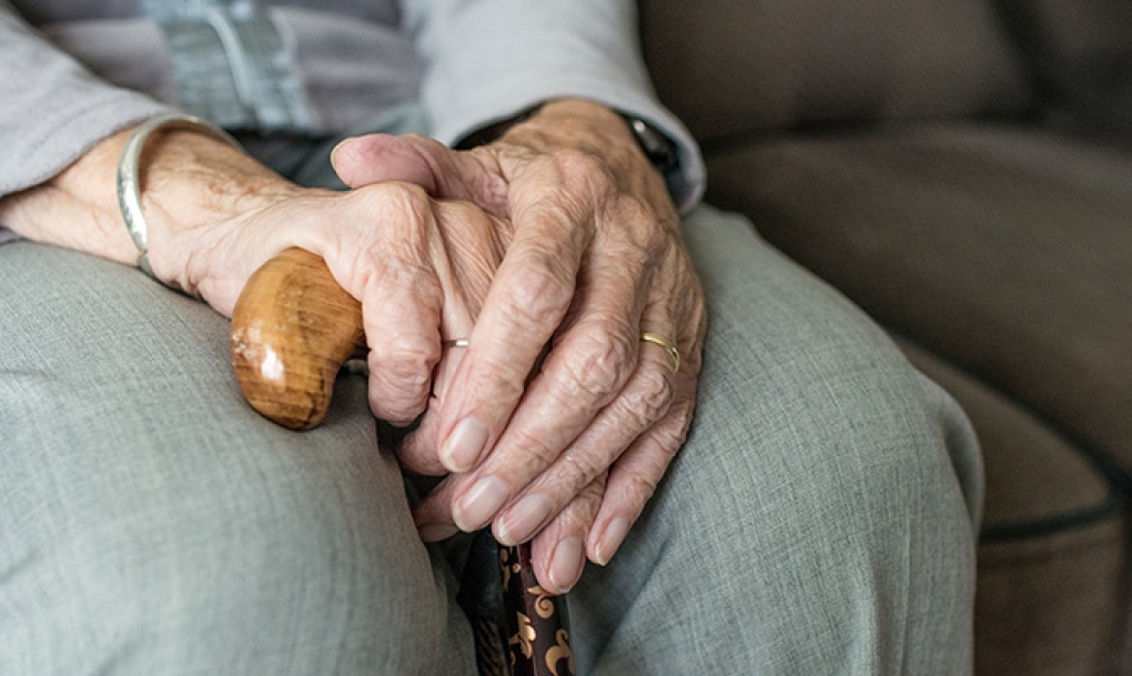 Entre el 30% y el 40% de los ancianos hospitalizados o en residencias presentan desnutrición