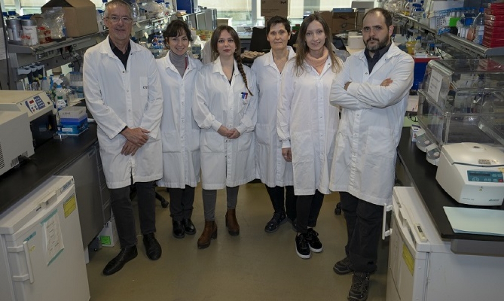 Descubren una nueva diana terapéutica para frenar la aterosclerosis precoz en progeria