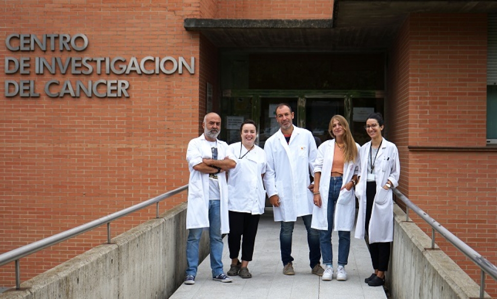 Demuestran la capacidad terapéutica de CRISPR/Cas9 en leucemia mieloide crónica