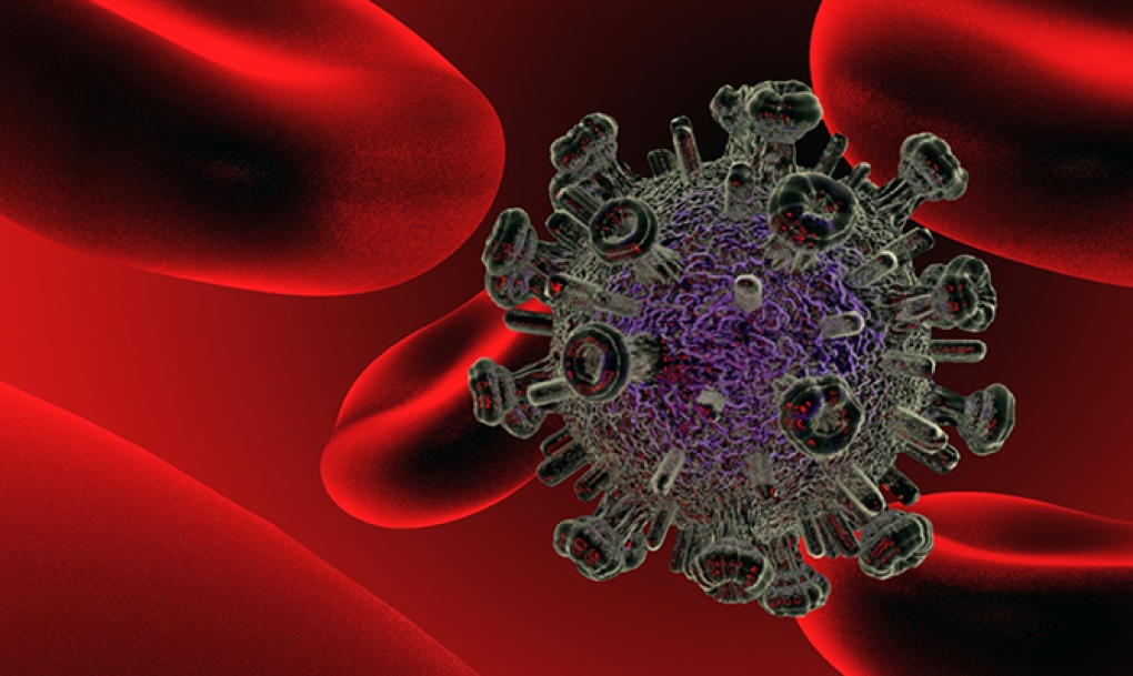 Bacterias intestinales influyen en la recuperación inmunológica de las personas con VIH