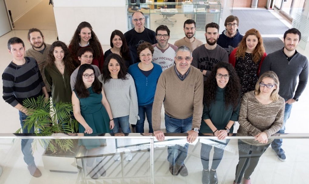 Identifican una ruta implicada en la estructura y respuesta terapéutica del cáncer de mama