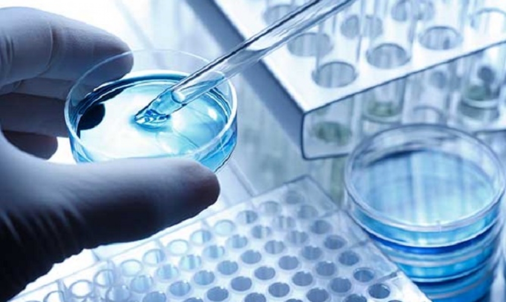 Sanidad y universidades de Castilla y León afianzan su apuesta por la calidad docente e investigadora