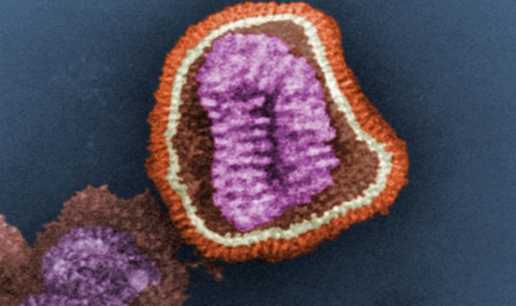 La próxima epidemia de gripe podría empezar antes y ser más grave y duradera