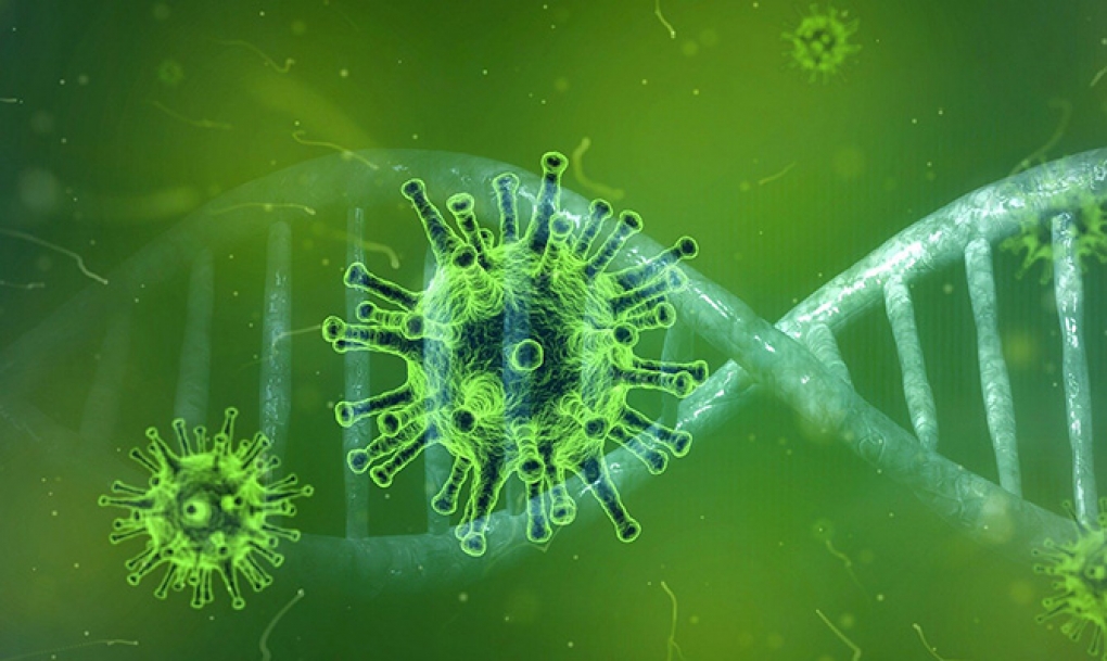 Investigadores del IBSAL reconocen un patrón inmunológico que ayuda a &#8216;predecir&#8217; la gravedad en la infección por coronavirus