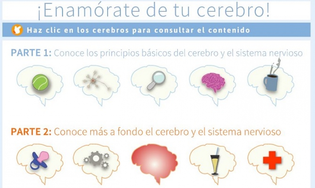 ‘Enamórate de tu cerebro’, la propuesta educativa para que los jóvenes aprendan sobre el sistema nervioso