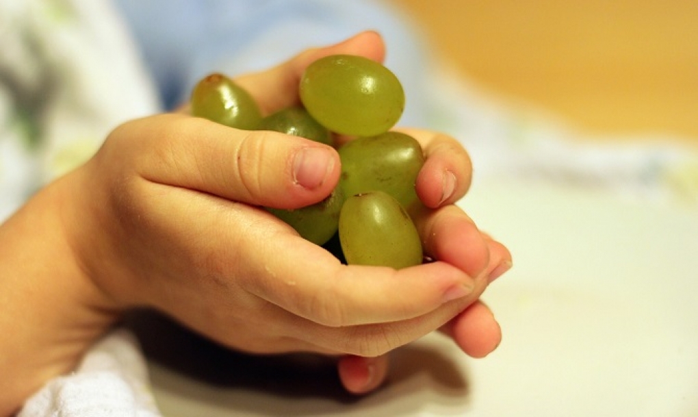 Expertos advierten del peligro de atragantamiento con las uvas en menores de 5 años y personas mayores