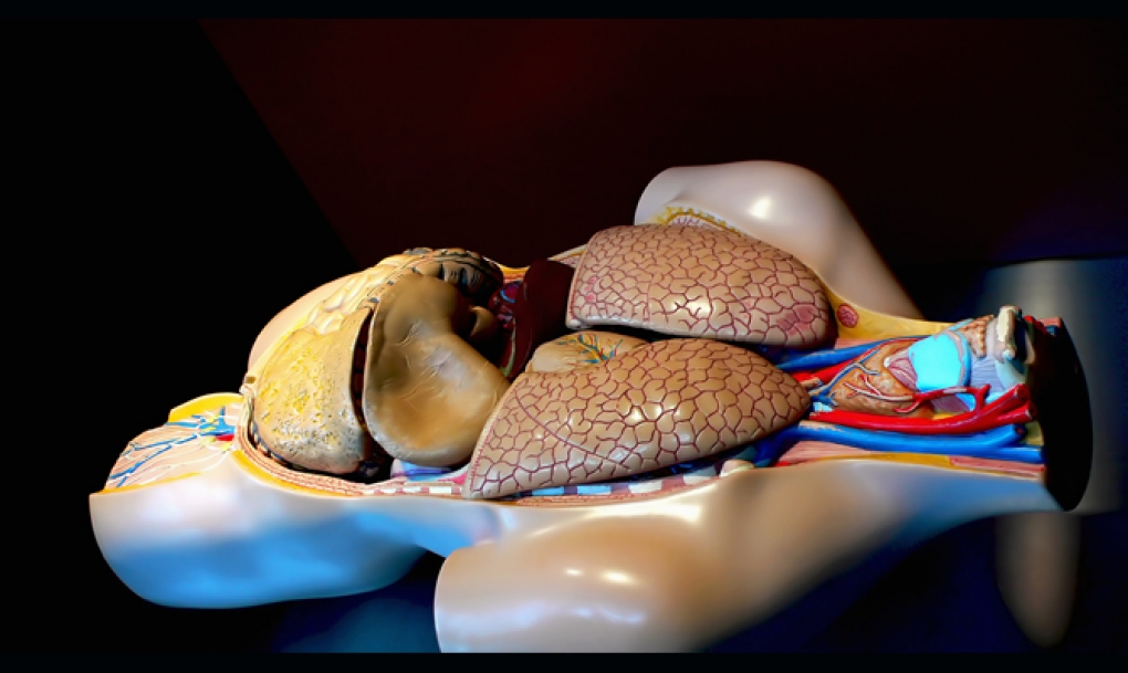 Técnicas de imagen permiten conocer de manera más concreta la edad vascular