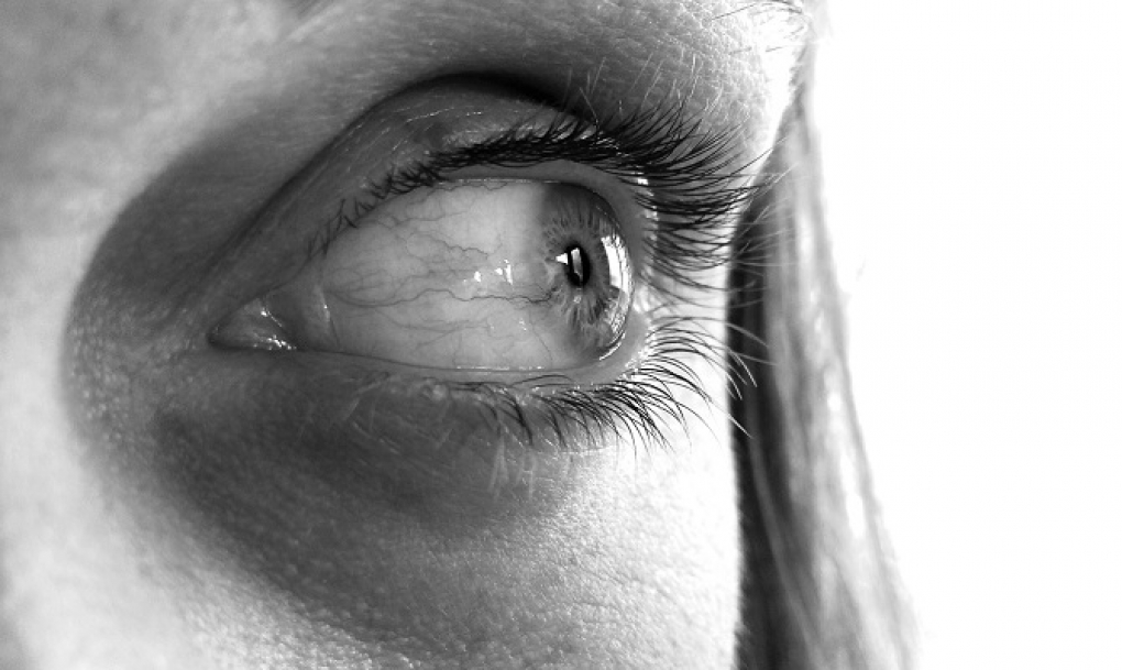 Primer Día Europeo de la neuropatía óptica hereditaria de Leber, con grandes avances en la calidad de vida de los pacientes