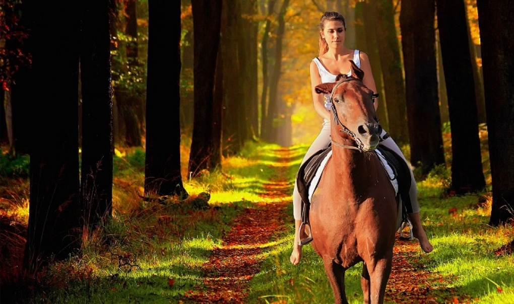 Los caballos mejoran la calidad de vida de personas con esclerosis múltiple
