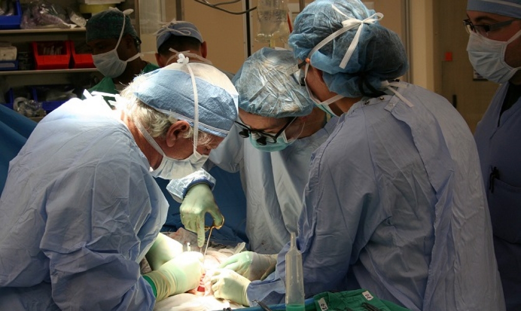 Más de 2.000 trasplantes renales