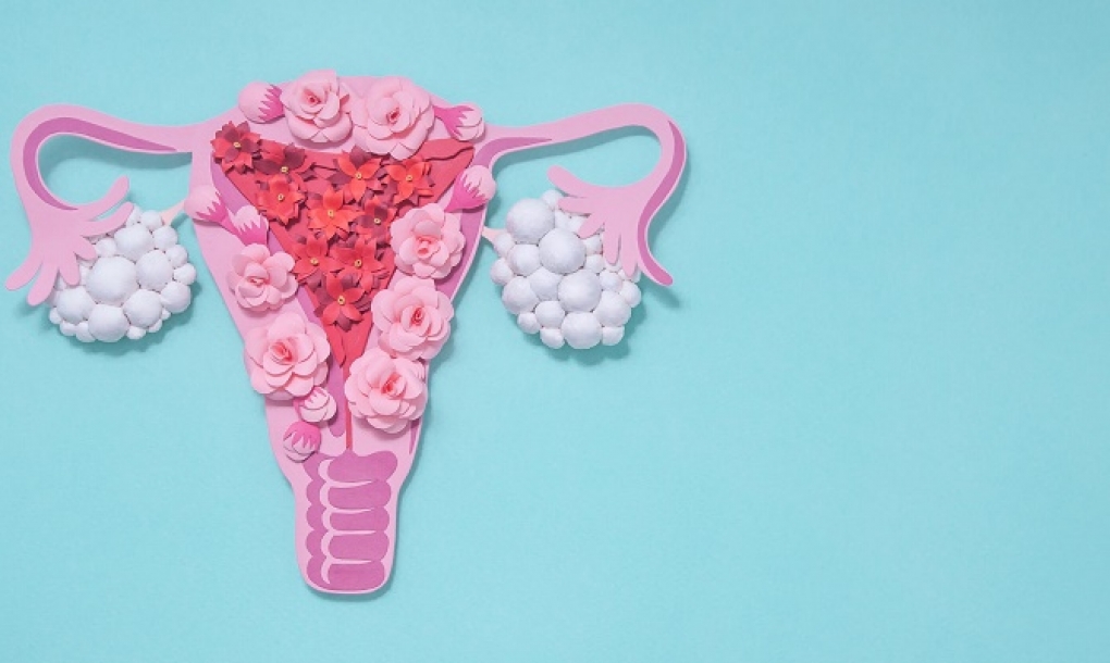 La dieta mejora los niveles hormonales en el Síndrome de Ovario Poliquístico