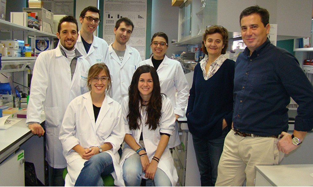 Un grupo de investigación del IBGM estudia el papel del calcio intracelular en el cáncer y el alzheimer