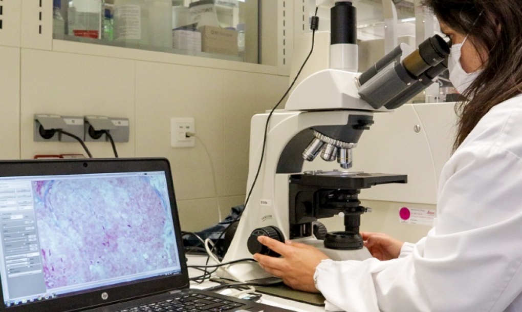 Desarrollado un nanomedicamento más eficaz para el tratamiento de la enfermedad rara de Fabry