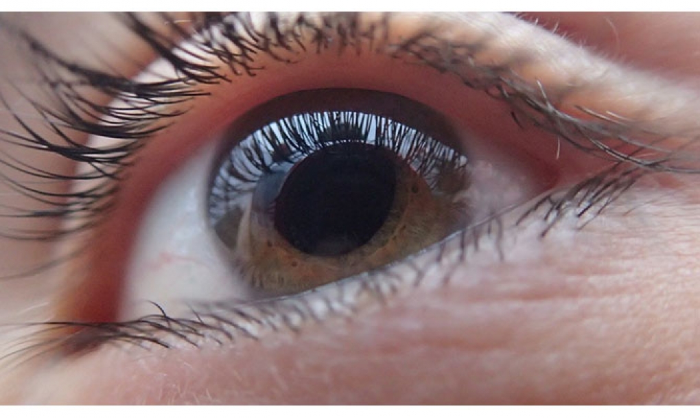Los ópticos-optometristas de Castilla y León inician una campaña para detectar la DMAE de forma precoz