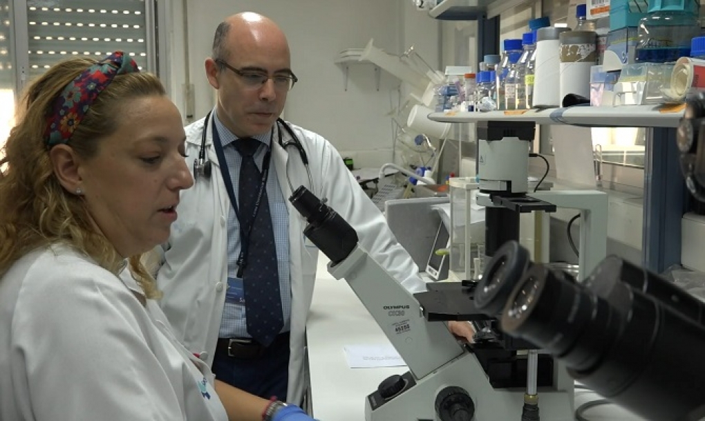 Las innovadoras terapias CAR-T colocan a Salamanca en la vanguardia de la lucha contra el cáncer hematológico