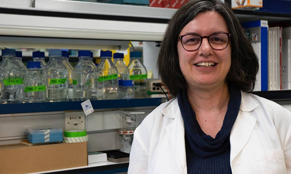 Sonia Zúñiga: «Las reinfecciones de SARS-CoV-2 van a darnos muchas pistas a todos los que intentamos generar vacunas»