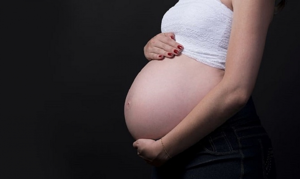 Relación entre contaminantes químicos y el desarrollo de enfermedades en embarazadas