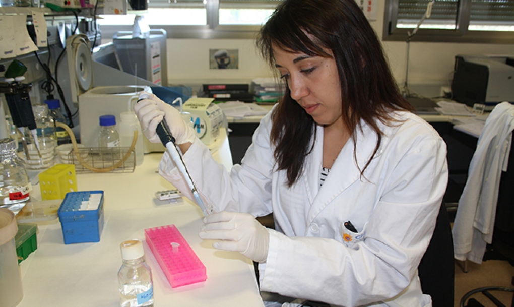 Charlas, exposiciones, visitas guiadas y concursos, en la XIII edición de la Semana de la Ciencia