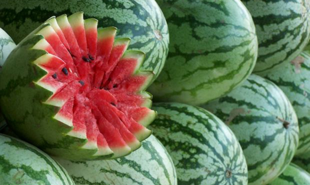 Diez claves para mantener una dieta saludable en verano