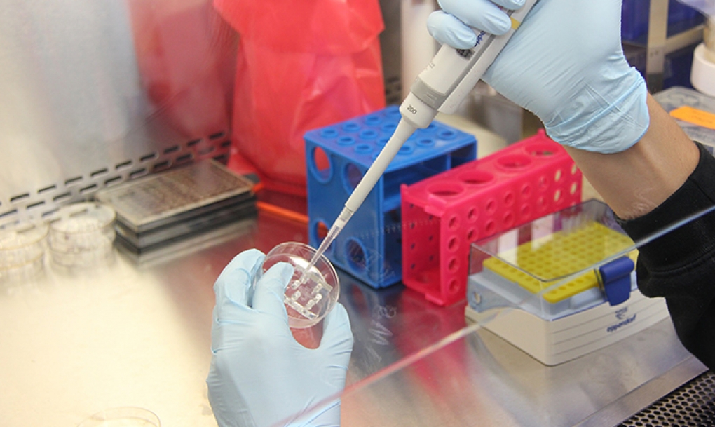 Cient&iacute;ficos del Centro Nacional de Investigaciones Oncol&oacute;gicas desmontan uno de los mitos de la innovaci&oacute;n biol&oacute;gica