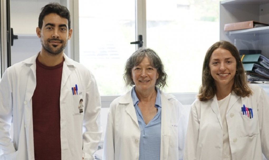 Nueva vía para atacar al adenocarcinoma de pulmón que podría mejorar los tratamientos actuales