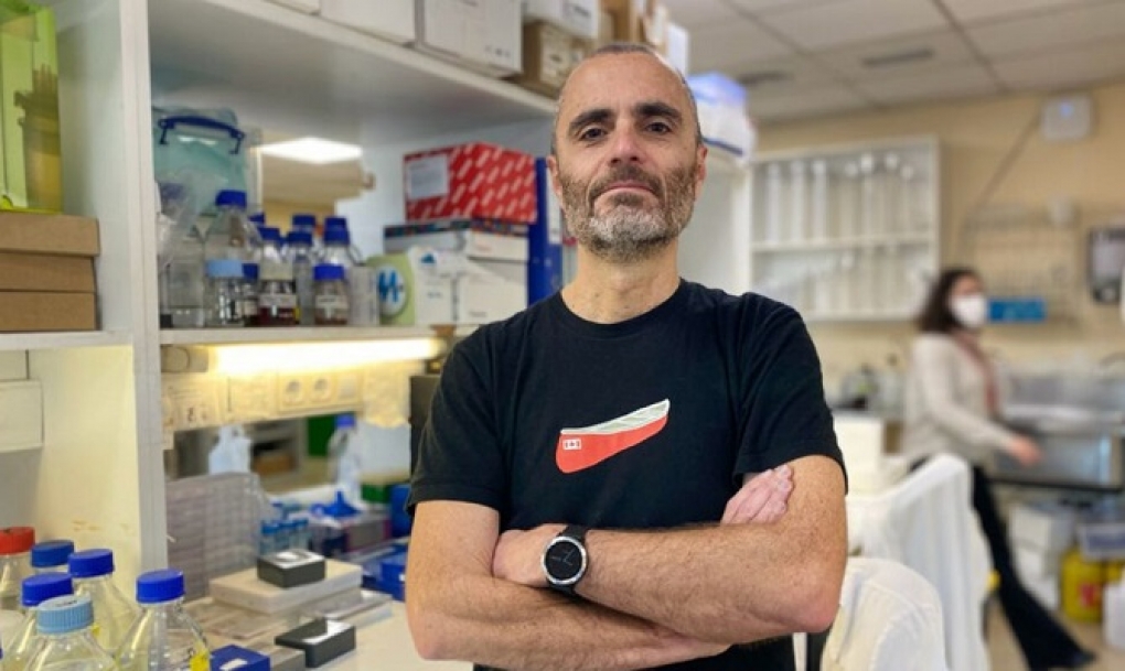 Las células del cáncer de mama crean escudos de colágeno para protegerse del sistema inmunitario