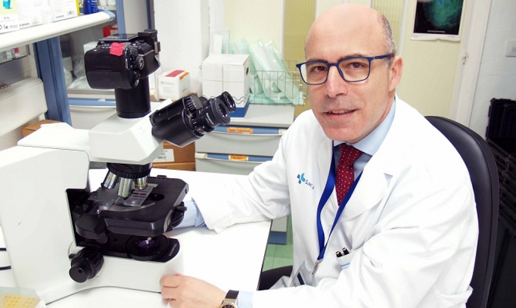 El Dr. Fermín Sánchez-Guijo, vicepresidente electo de la Sociedad Internacional de Terapia Celular y Génica