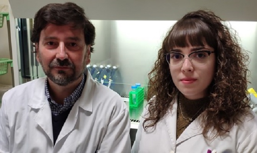 Nueva diana terapéutica para reducir la resistencia a la quimioterapia en cáncer de hígado