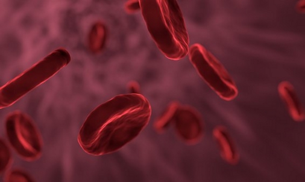 La incorporación de la inmunoterapia CAR, gran esperanza frente al cáncer de la sangre