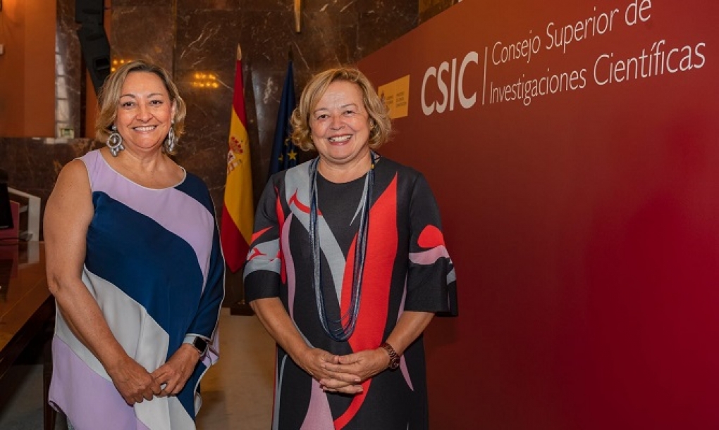 Nace Conexión-Cáncer, la red que impulsará la investigación oncológica de los centros del CSIC