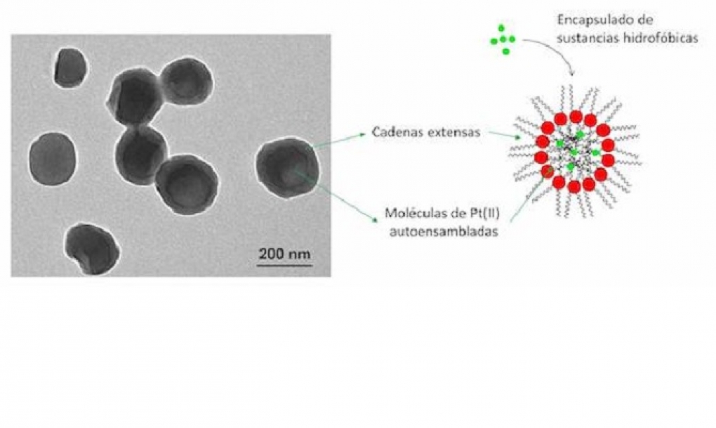 Los cristales líquidos amplían su aplicación en biomedicina con el encapsulado de fármacos