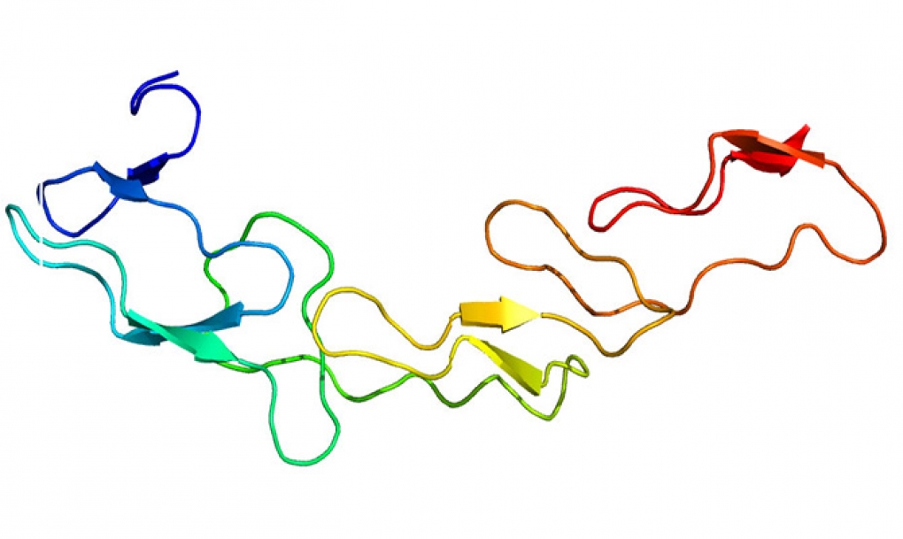 Una nueva combinación de anticuerpos mejora los resultados de la inmunoterapia contra el cáncer