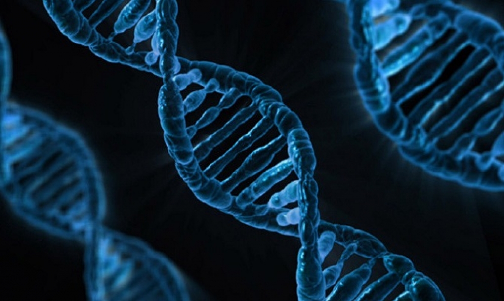 Nuevas versiones del editor CRISPR acercan al sueño de curar enfermedades genéticas