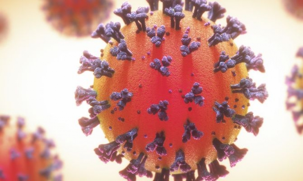 El ISCIII desarrolla nuevos proyectos para dar respuesta al manejo del coronavirus