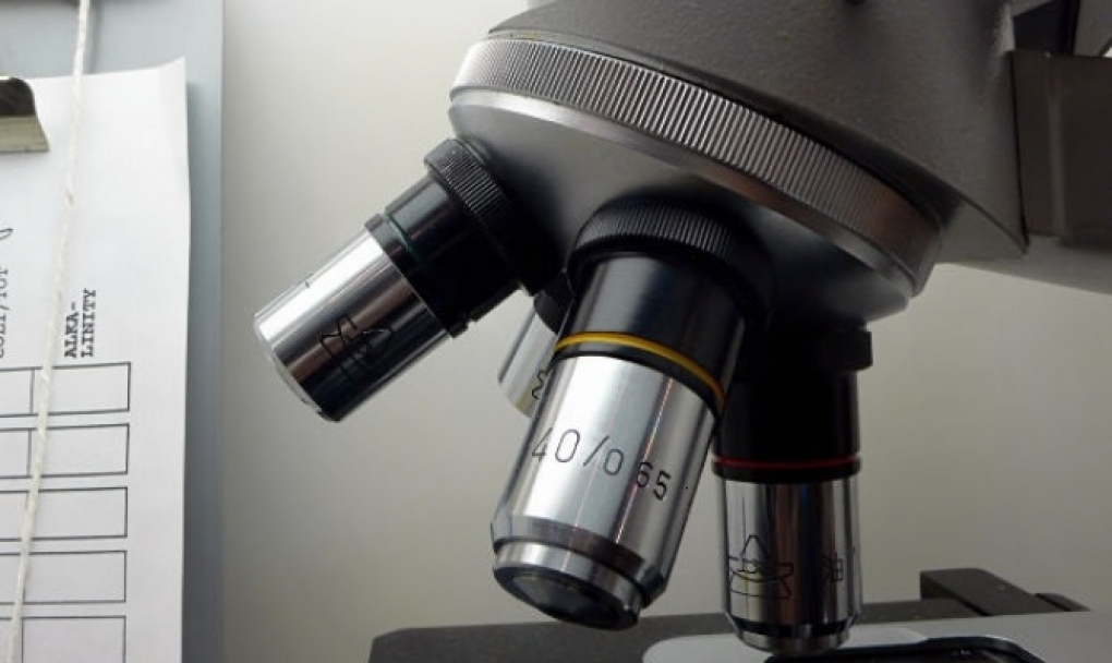 La Junta de Castilla y León aprueba 90 proyectos de investigación en biomedicina y gestión sanitaria para 2020