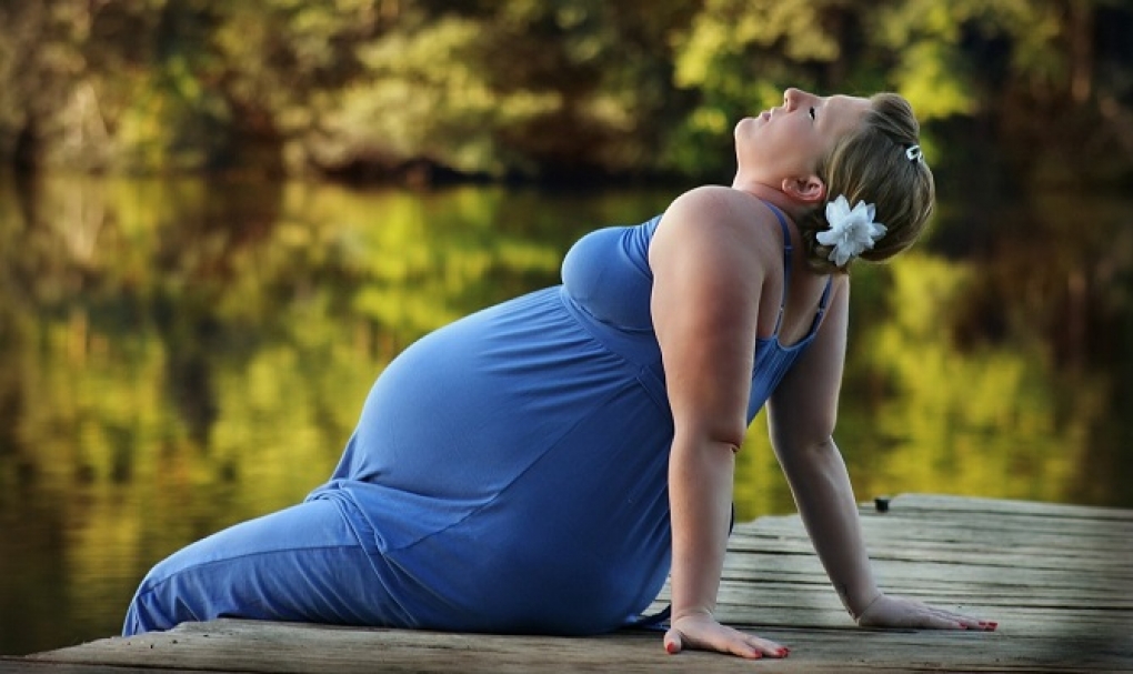 Respirar aire contaminado durante el embarazo aumenta el riesgo de tensión elevada en los hijos