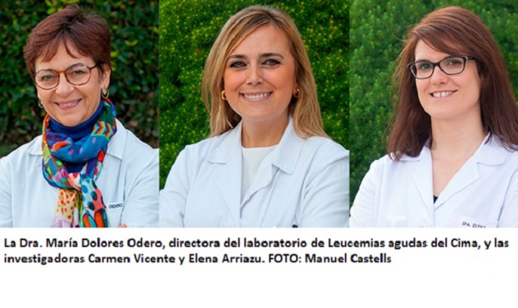 Nueva combinación de fármacos contra la leucemia mieloide aguda