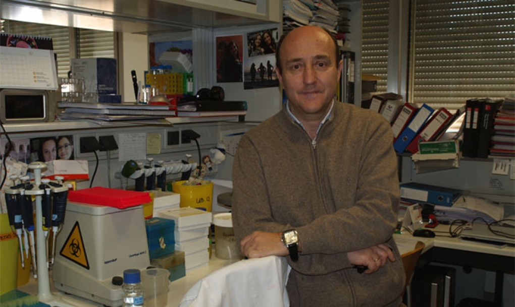 Nuevos marcadores genéticos de leucemia linfoblástica aguda