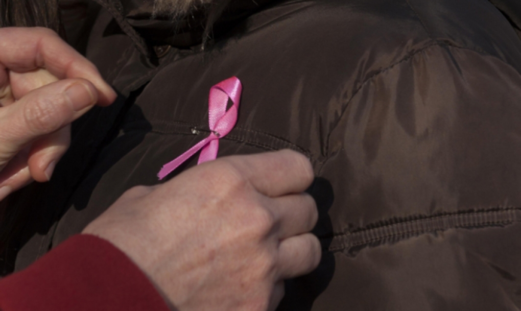 El PSOE reclama que la Diputación se implique en programas de detección del cáncer de mama en las zonas rurales
