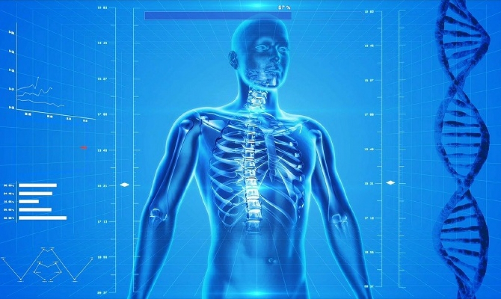 El proyecto Team reúne a ocho sociedades científicas para facilitar la transición a la edad adulta en pacientes con enfermedades metabólicas óseas