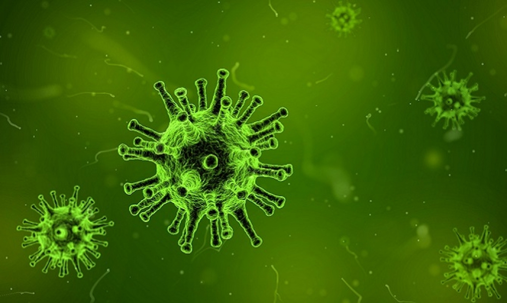 Halladas dos proteínas que favorecen las infecciones virales al inhibir la respuesta inmune innata