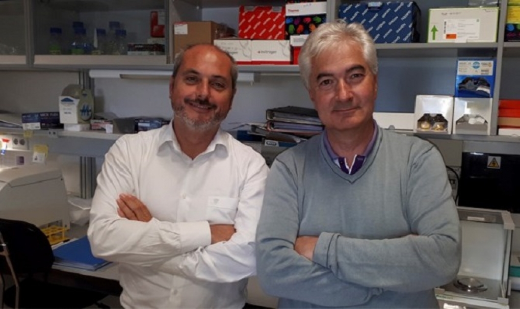 El uso combinado de un nuevo fármaco mejora la eficiencia de algunos tratamientos de cáncer de mama